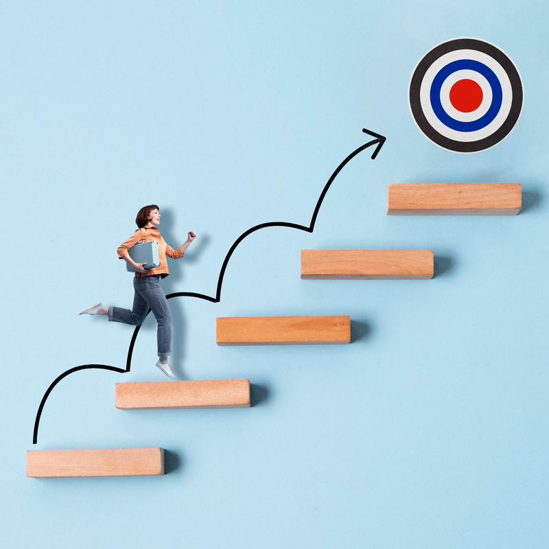 Obiective de afaceri