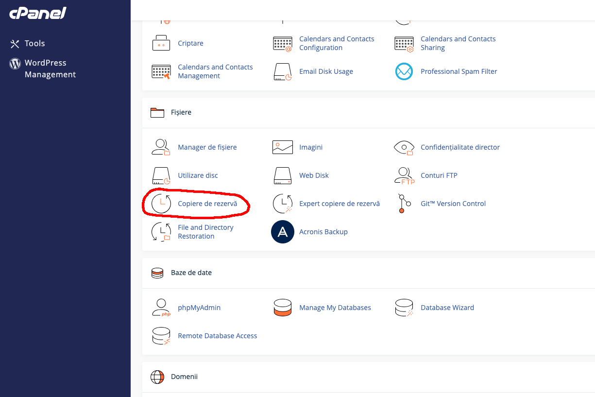 copiere de rezerva cpanel